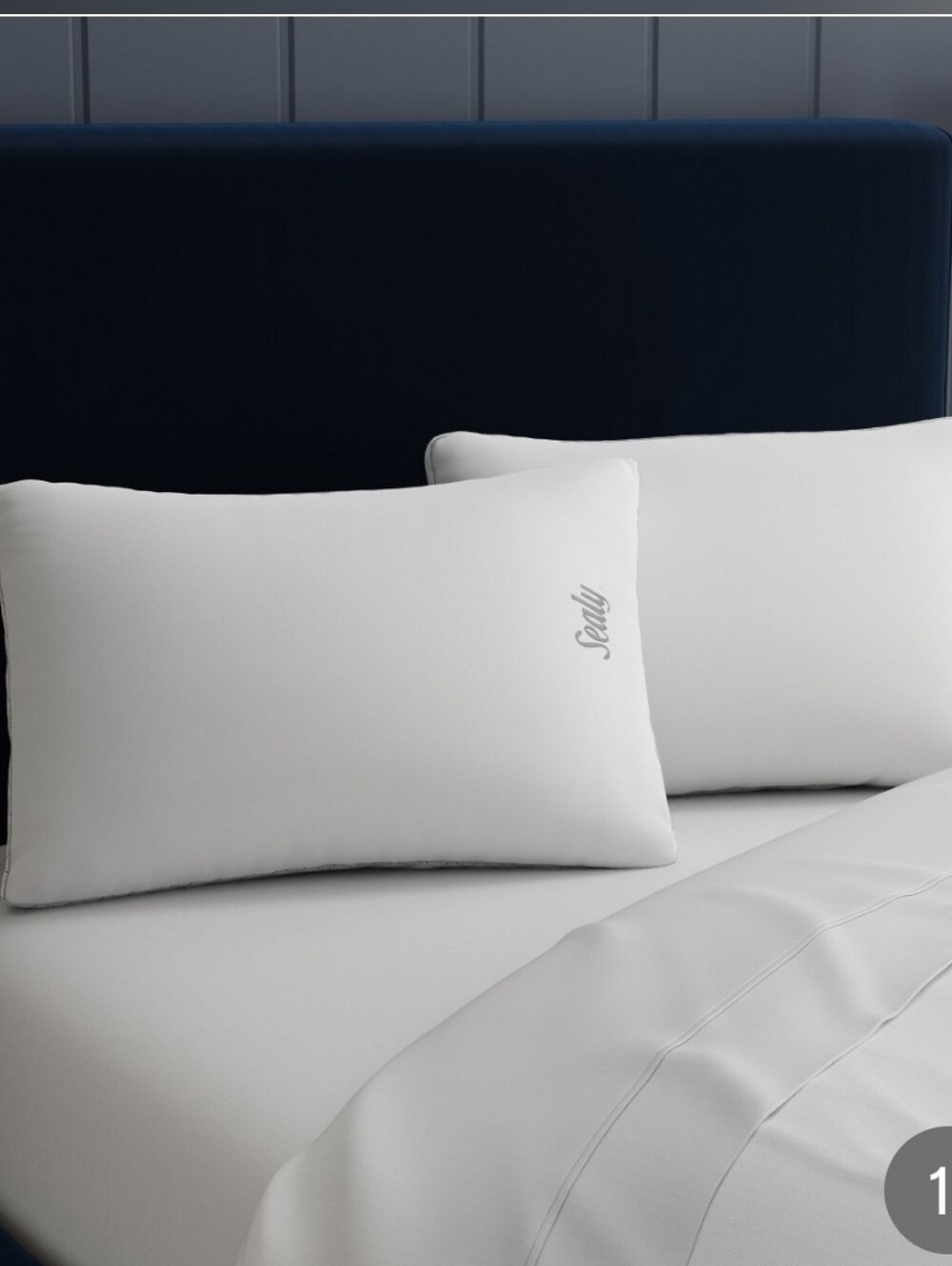 (6)Sealy Sterling Collection Down-Alternative Pillow, 2-pack